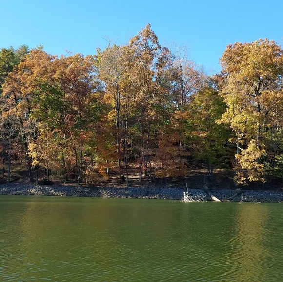 Meet your Posher, Elizabeth - Picture 1 of 1